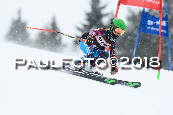 4. Ziener Cup WF, 25.02.2018