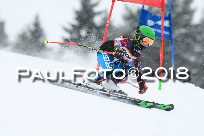 4. Ziener Cup WF, 25.02.2018