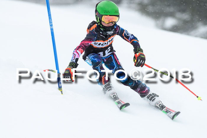 4. Ziener Cup WF, 25.02.2018