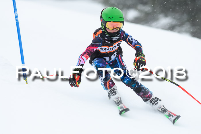 4. Ziener Cup WF, 25.02.2018