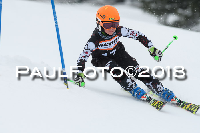 4. Ziener Cup WF, 25.02.2018