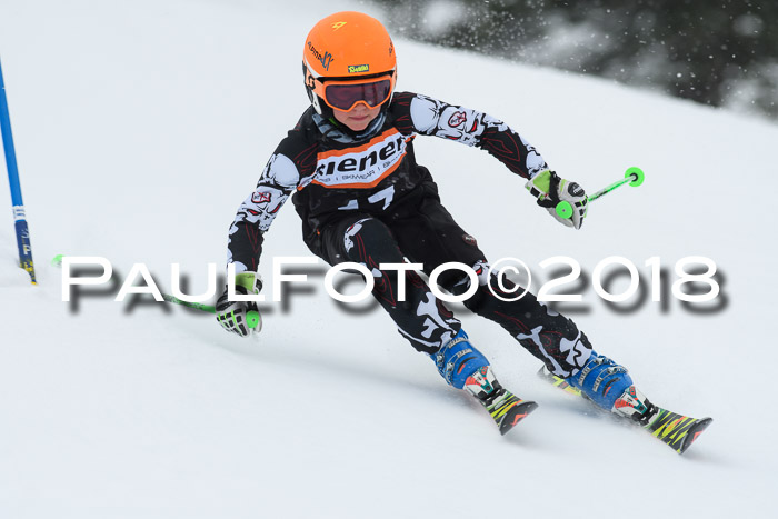 4. Ziener Cup WF, 25.02.2018