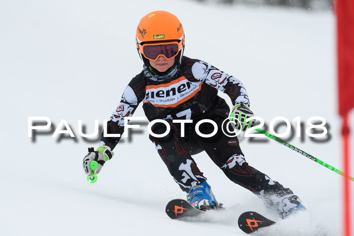 4. Ziener Cup WF, 25.02.2018