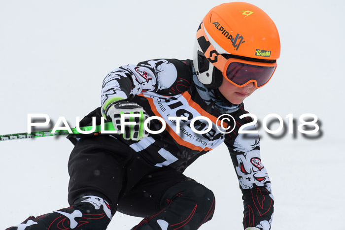 4. Ziener Cup WF, 25.02.2018