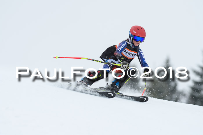 4. Ziener Cup WF, 25.02.2018