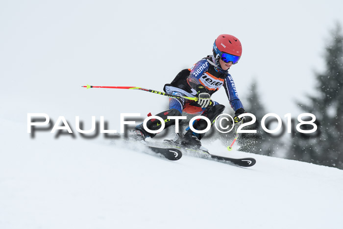 4. Ziener Cup WF, 25.02.2018