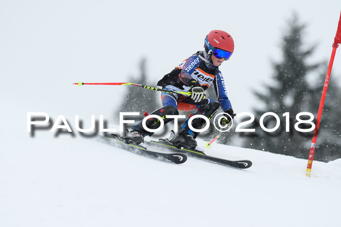4. Ziener Cup WF, 25.02.2018