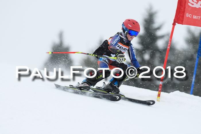 4. Ziener Cup WF, 25.02.2018