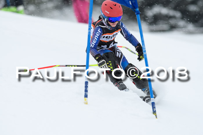 4. Ziener Cup WF, 25.02.2018