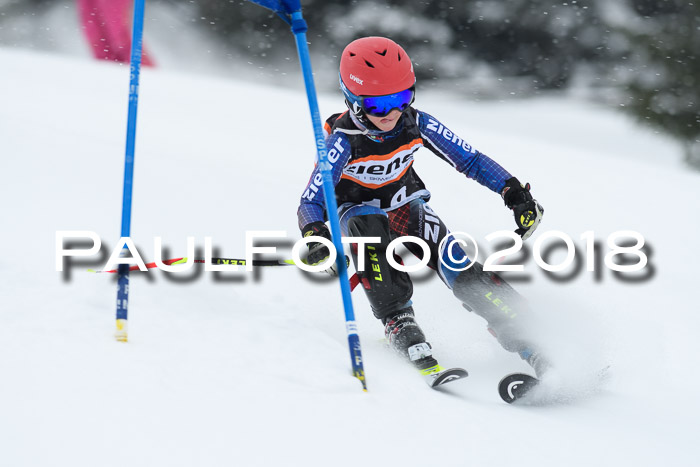 4. Ziener Cup WF, 25.02.2018