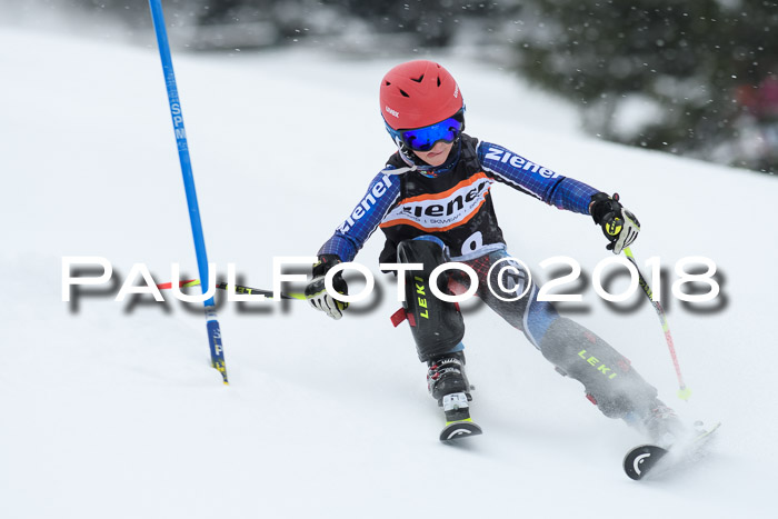 4. Ziener Cup WF, 25.02.2018