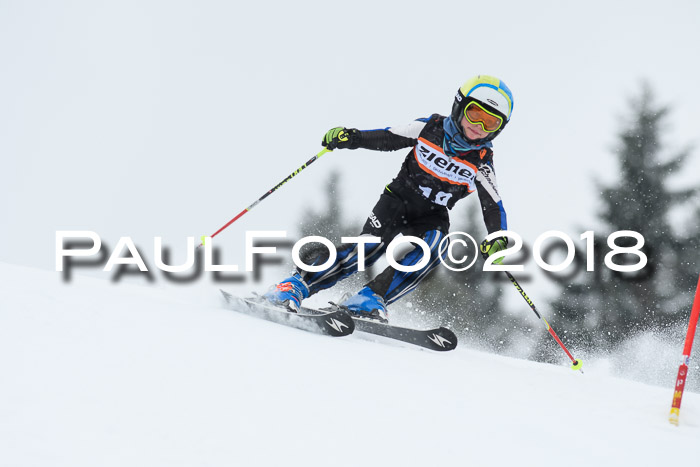 4. Ziener Cup WF, 25.02.2018
