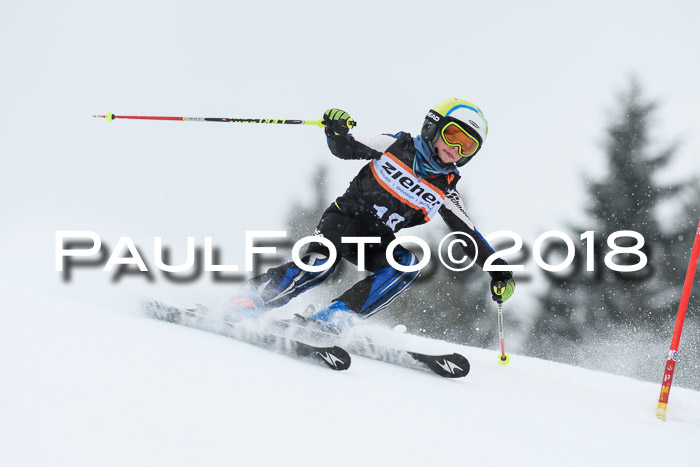 4. Ziener Cup WF, 25.02.2018