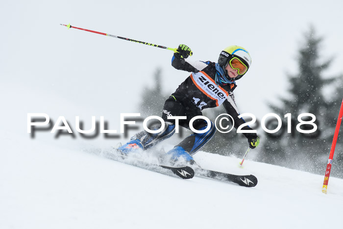 4. Ziener Cup WF, 25.02.2018