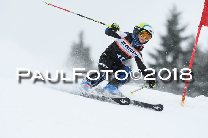 4. Ziener Cup WF, 25.02.2018