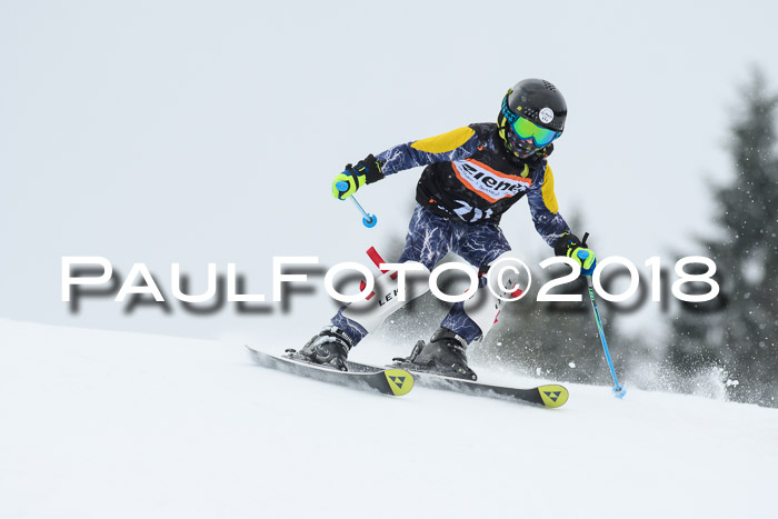 4. Ziener Cup WF, 25.02.2018