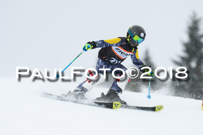 4. Ziener Cup WF, 25.02.2018