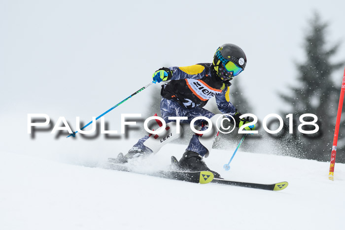 4. Ziener Cup WF, 25.02.2018