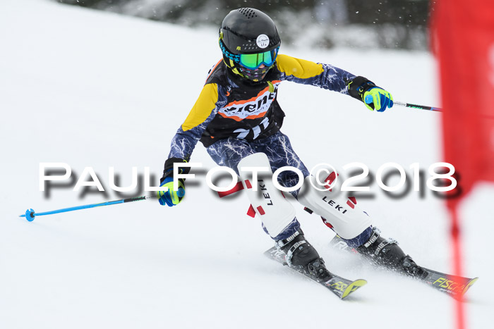 4. Ziener Cup WF, 25.02.2018