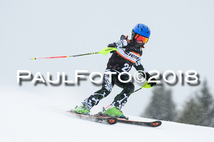 4. Ziener Cup WF, 25.02.2018