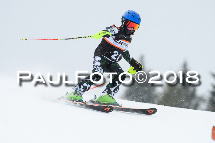 4. Ziener Cup WF, 25.02.2018