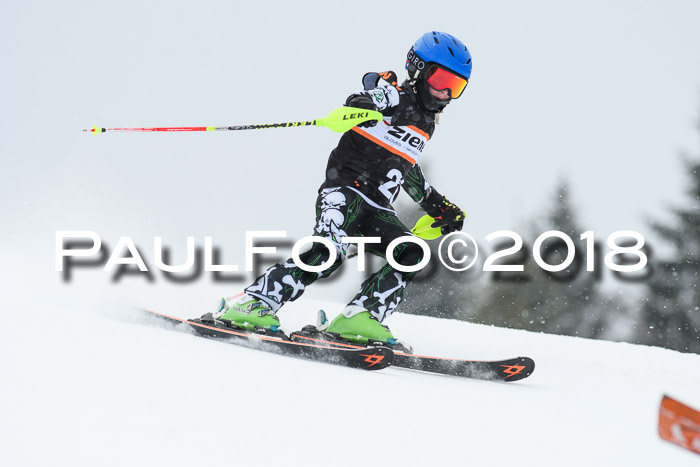 4. Ziener Cup WF, 25.02.2018