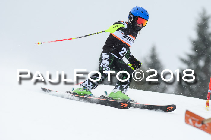 4. Ziener Cup WF, 25.02.2018