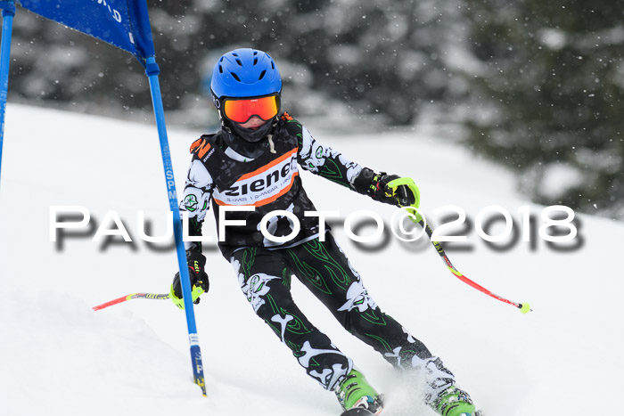 4. Ziener Cup WF, 25.02.2018