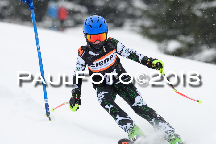 4. Ziener Cup WF, 25.02.2018