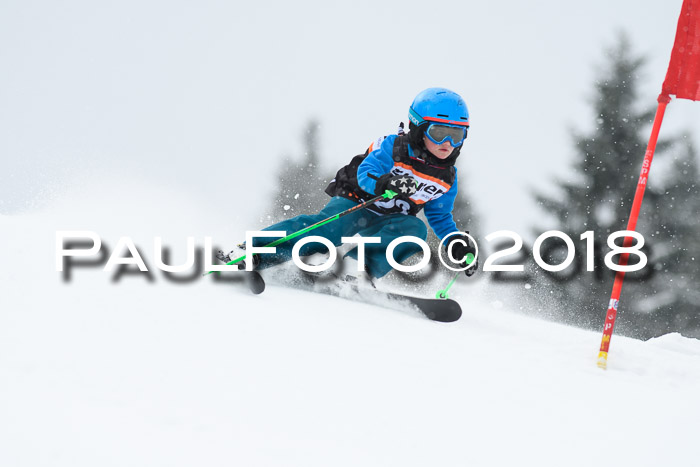 4. Ziener Cup WF, 25.02.2018