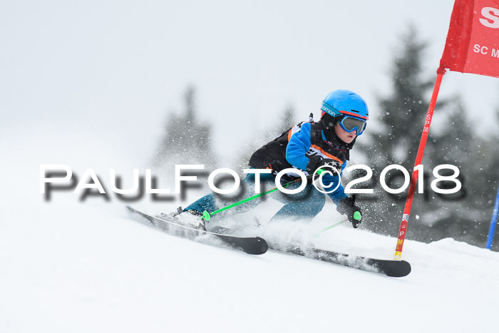 4. Ziener Cup WF, 25.02.2018
