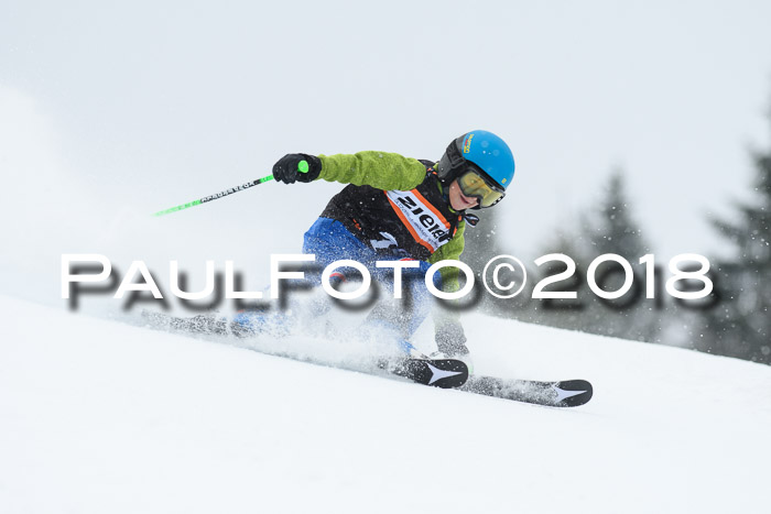4. Ziener Cup WF, 25.02.2018
