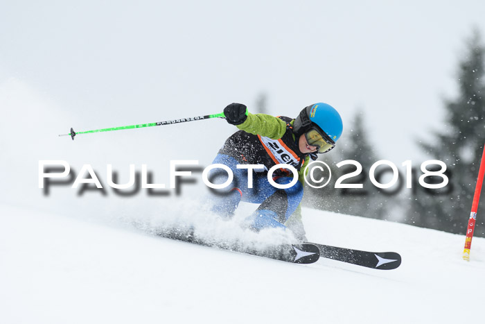 4. Ziener Cup WF, 25.02.2018