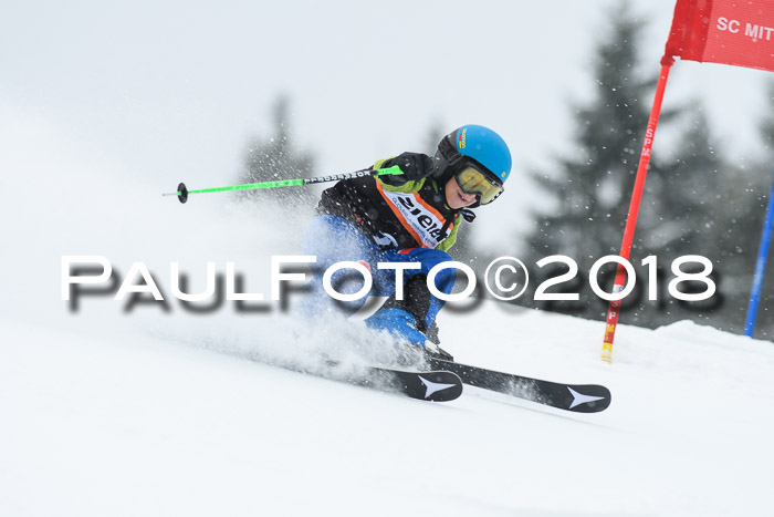 4. Ziener Cup WF, 25.02.2018