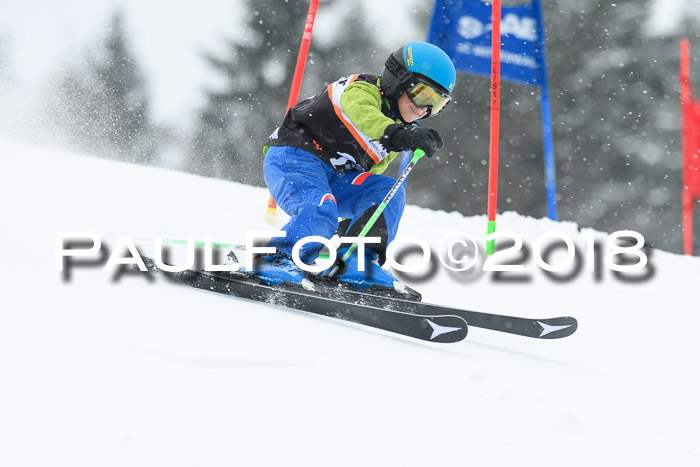4. Ziener Cup WF, 25.02.2018