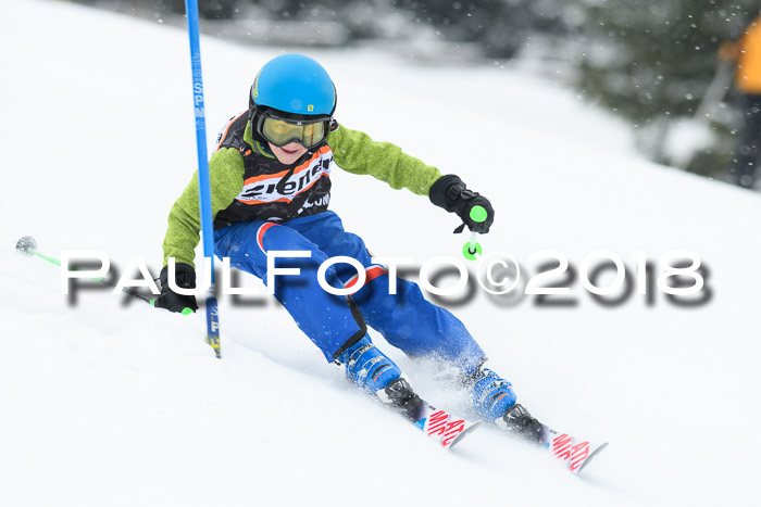 4. Ziener Cup WF, 25.02.2018