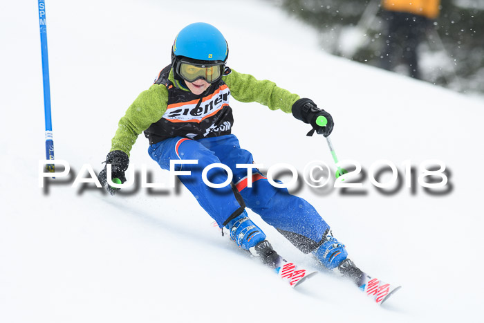 4. Ziener Cup WF, 25.02.2018