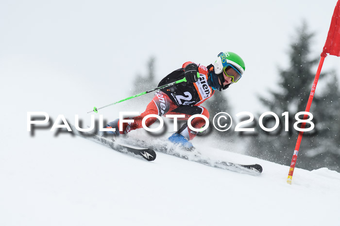 4. Ziener Cup WF, 25.02.2018
