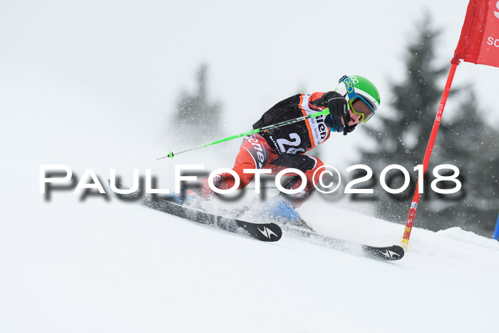 4. Ziener Cup WF, 25.02.2018
