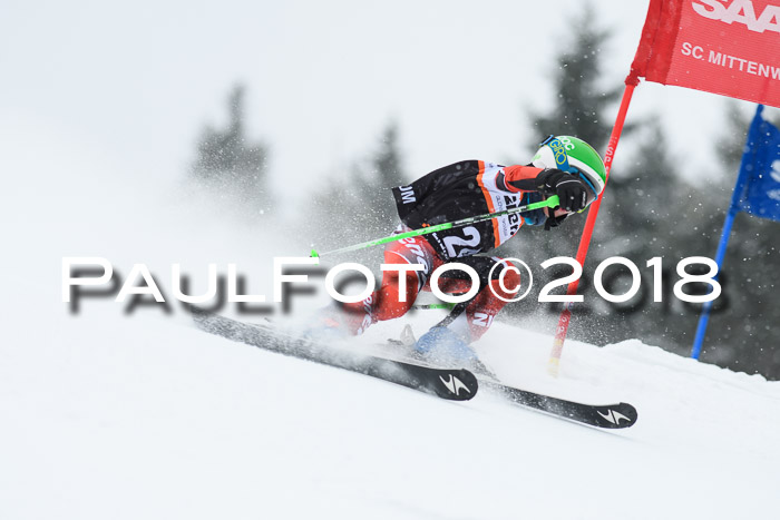 4. Ziener Cup WF, 25.02.2018