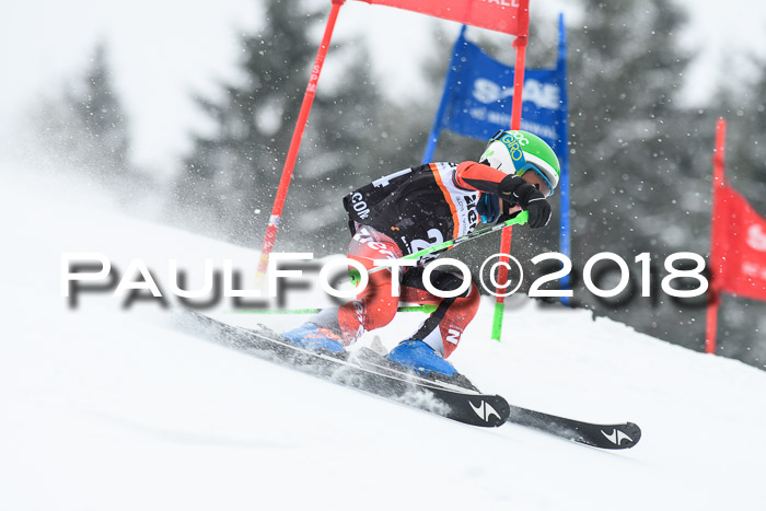 4. Ziener Cup WF, 25.02.2018