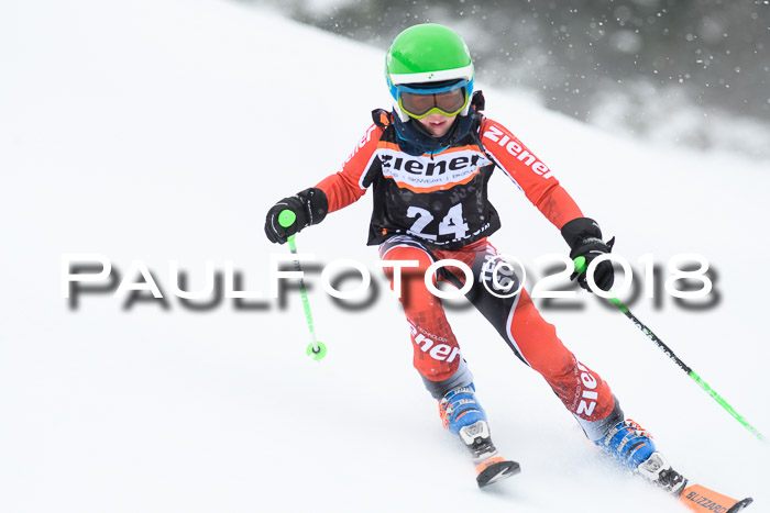 4. Ziener Cup WF, 25.02.2018