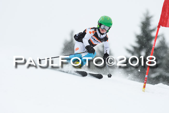 4. Ziener Cup WF, 25.02.2018