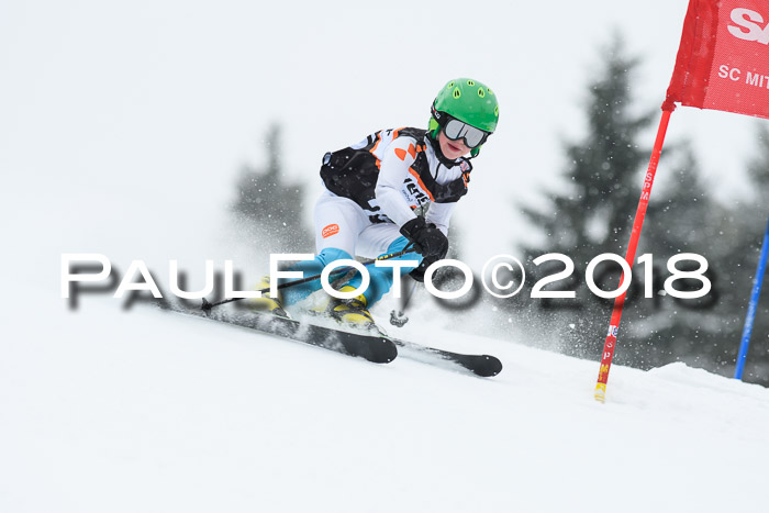 4. Ziener Cup WF, 25.02.2018