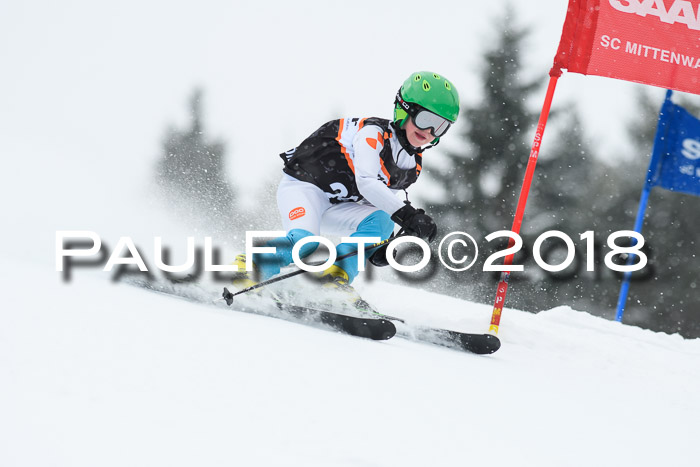 4. Ziener Cup WF, 25.02.2018
