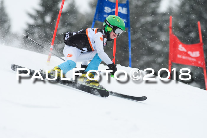 4. Ziener Cup WF, 25.02.2018