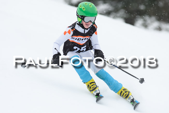 4. Ziener Cup WF, 25.02.2018