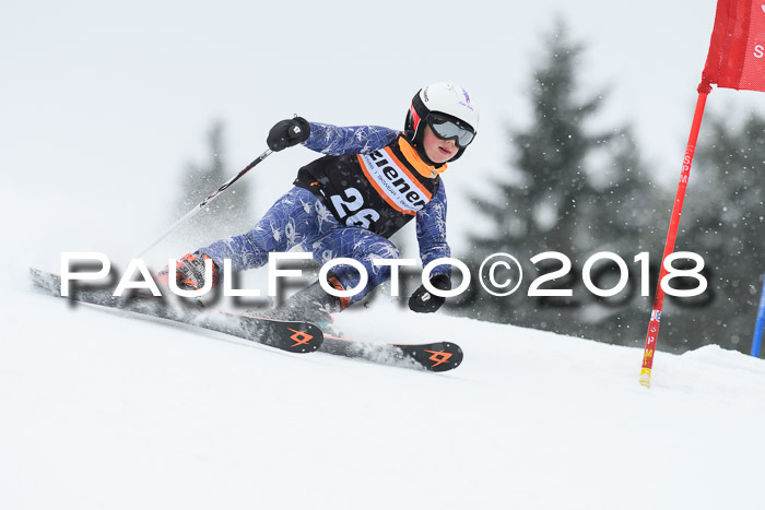 4. Ziener Cup WF, 25.02.2018
