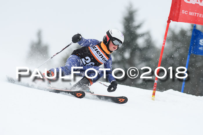 4. Ziener Cup WF, 25.02.2018