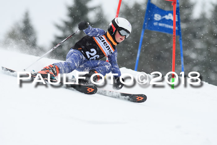 4. Ziener Cup WF, 25.02.2018